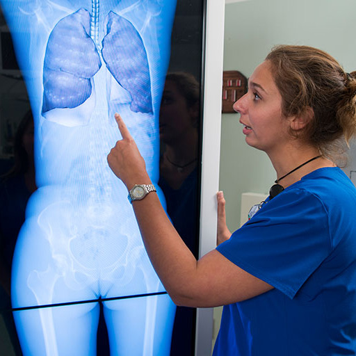 Radiography students examine and point to a scan of a patient at Mayo Clinic